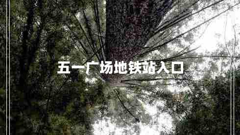 五一廣場地鐵站入口 五一廣場地鐵站入口