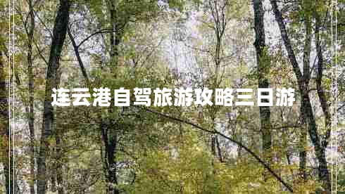 連云港自駕旅游攻略三日游