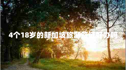 4個(gè)18歲的新加坡旅游簽證好辦嗎