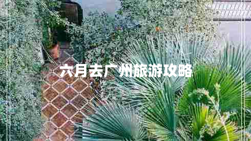 六月去廣州旅游攻略