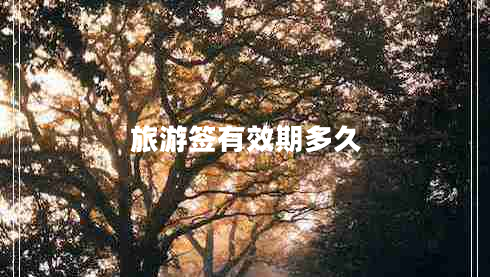 旅游簽有效期多久