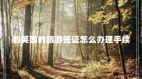 到英國(guó)的旅游簽證怎么辦理手續(xù)