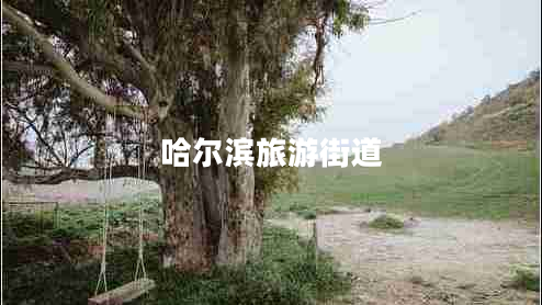 哈爾濱旅游街道