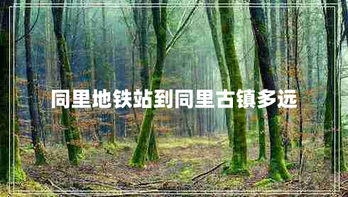 同里地鐵站到同里古鎮(zhèn)多遠(yuǎn)