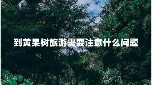 到黃果樹旅游需要注意什么問題
