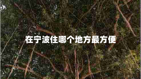 在寧波住哪個(gè)地方最方便 在寧波住哪個(gè)地方最方便