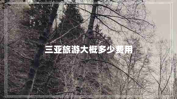 三亞旅游大概多少費(fèi)用