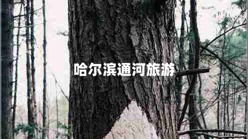 哈爾濱通河旅游