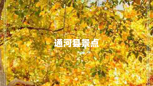 通河縣景點(diǎn) 通河縣景點(diǎn)