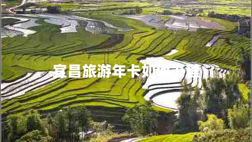 宜昌旅游年卡如何辦理