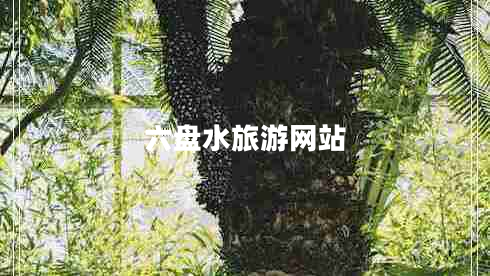 六盤水旅游網(wǎng)站