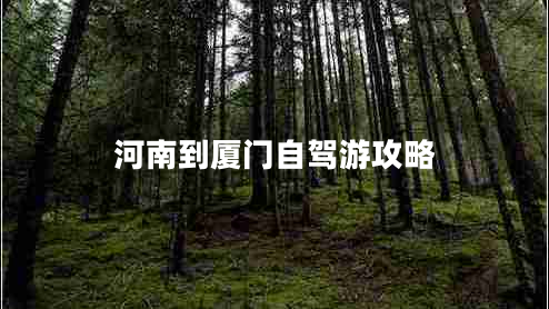 河南到廈門(mén)自駕游攻略