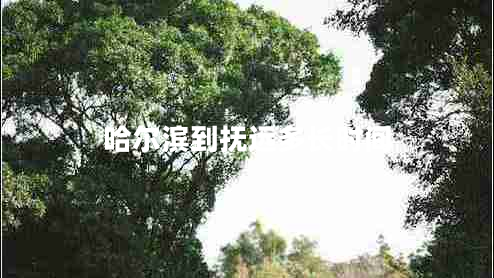 哈爾濱到撫遠(yuǎn)多長時間