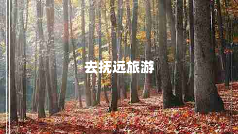 去撫遠(yuǎn)旅游