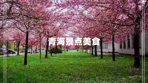 青海景點美食