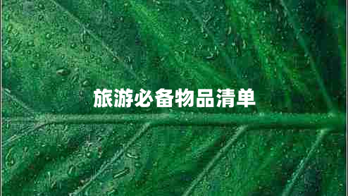 旅游必備物品清單 旅游必備物品清單