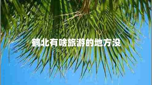 鶴北有啥旅游的地方沒