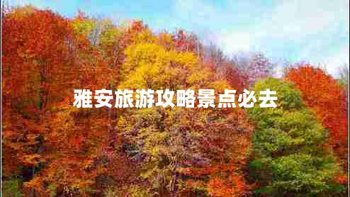 雅安旅游攻略景點(diǎn)必去 雅安旅游攻略景點(diǎn)必去