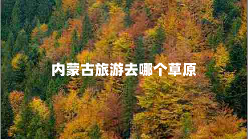 內(nèi)蒙古旅游去哪個草原