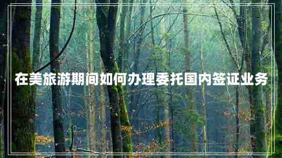 在美旅游期間如何辦理委托國內(nèi)簽證業(yè)務(wù)