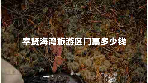 奉賢海灣旅游區(qū)門票多少錢 奉賢海灣旅游區(qū)門票多少錢