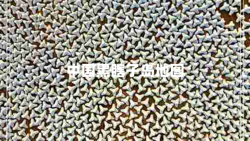 中國黑瞎子島地圖 中國黑瞎子島地圖