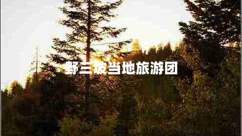 野三坡當(dāng)?shù)芈糜螆F(tuán) 野三坡當(dāng)?shù)芈糜螆F(tuán)