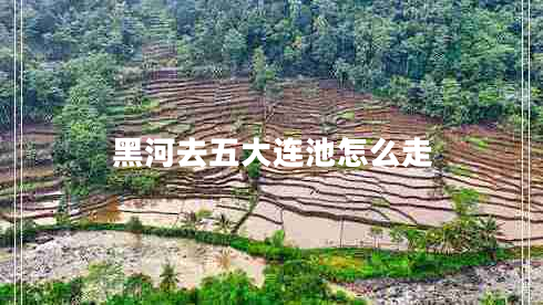 黑河去五大連池怎么走