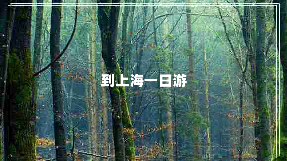 到上海一日游