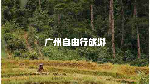 廣州自由行旅游 廣州自由行旅游