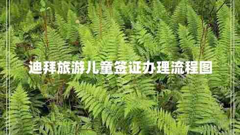 迪拜旅游兒童簽證辦理流程圖