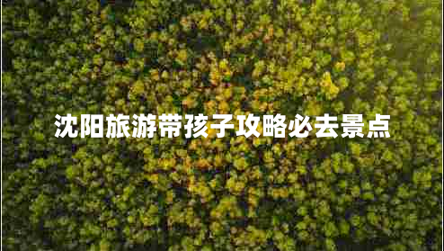 沈陽(yáng)旅游帶孩子攻略必去景點(diǎn)