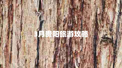 3月貴陽旅游攻略