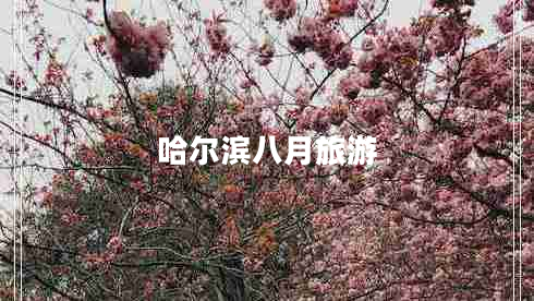 哈爾濱八月旅游