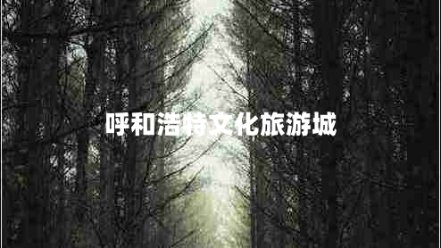 呼和浩特文化旅游城 呼和浩特文化旅游城