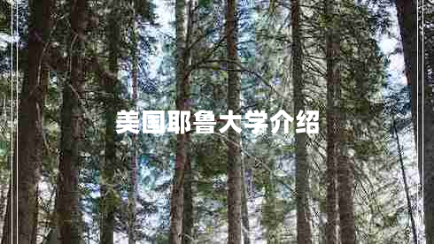 美國耶魯大學介紹