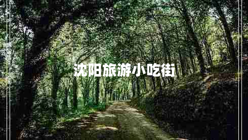 沈陽旅游小吃街