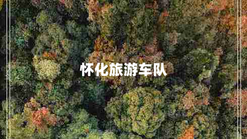懷化旅游車隊(duì)