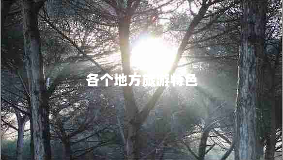 各個地方旅游特色