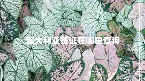 澳大利亞簽證在哪里查詢