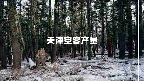 天津空客產(chǎn)量 天津空客產(chǎn)量