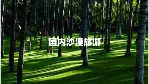 國內(nèi)沙漠旅游 國內(nèi)沙漠旅游