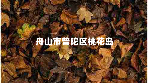 舟山市普陀區(qū)桃花島 舟山市普陀區(qū)桃花島