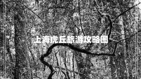 上海虎丘旅游攻略圖