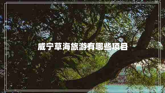 威寧草海旅游有哪些項(xiàng)目