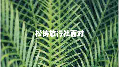 松濤旅行社面對