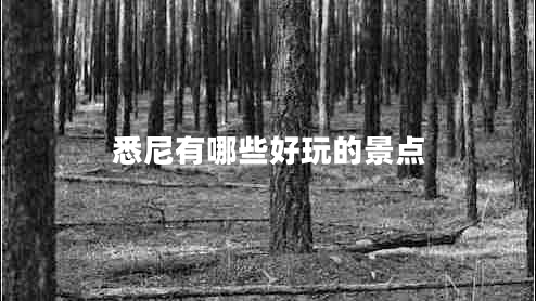 悉尼有哪些好玩的景點(diǎn)