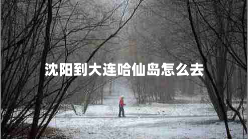 沈陽到大連哈仙島怎么去
