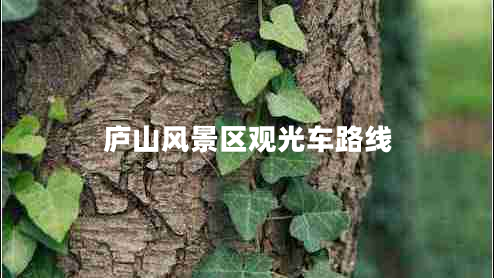 廬山風(fēng)景區(qū)觀光車路線