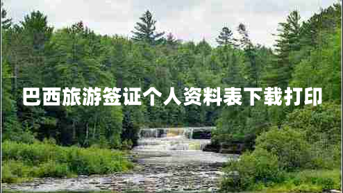 巴西旅游簽證個(gè)人資料表下載打印